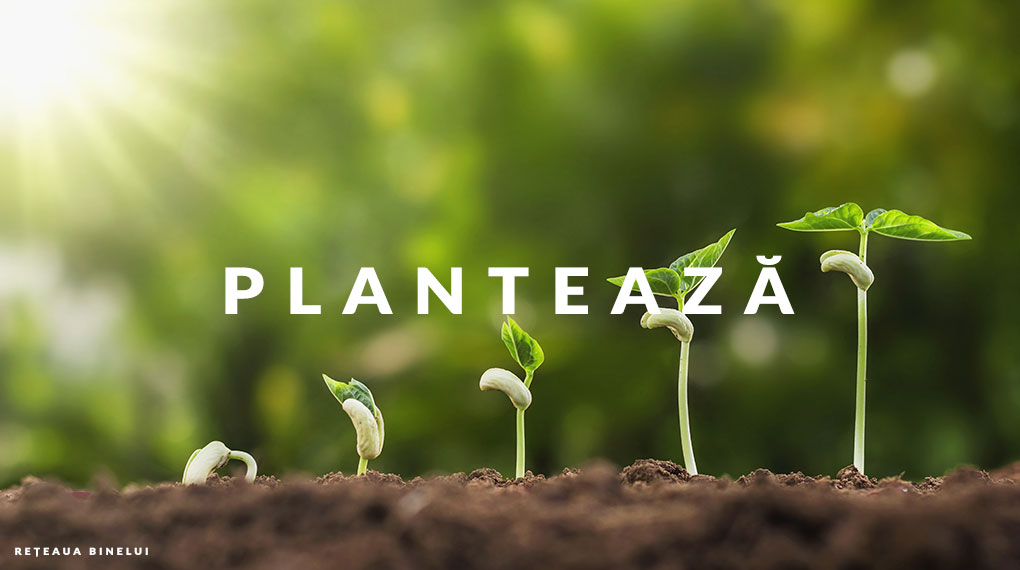 Planteaza